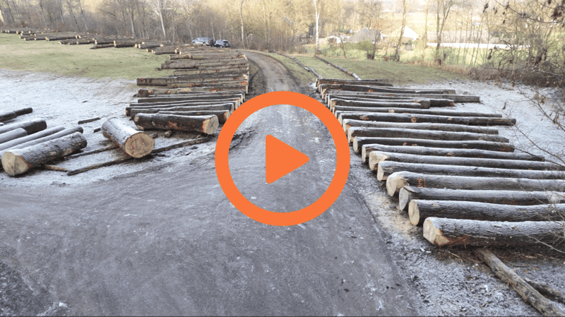 Design ohne Titel (3)