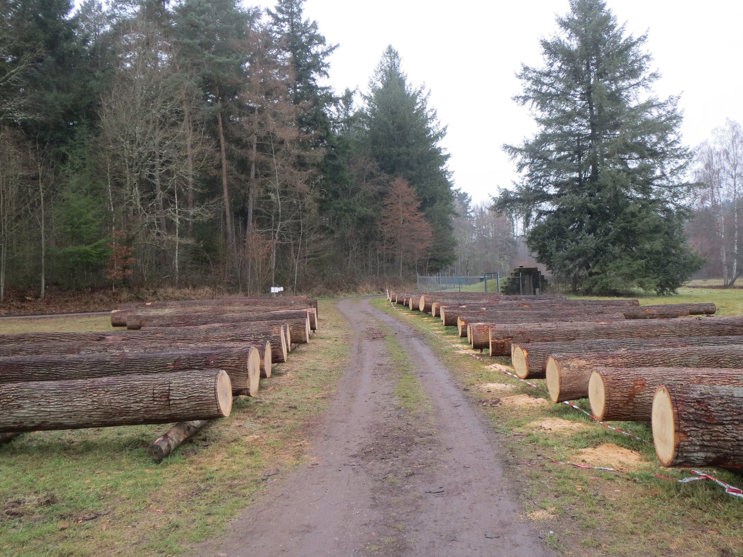 Entersweilerfeld__Panorama