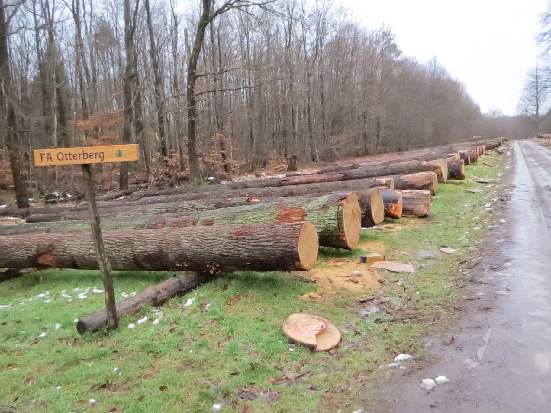 Lagerlatz_Otterberg_IMG_3550