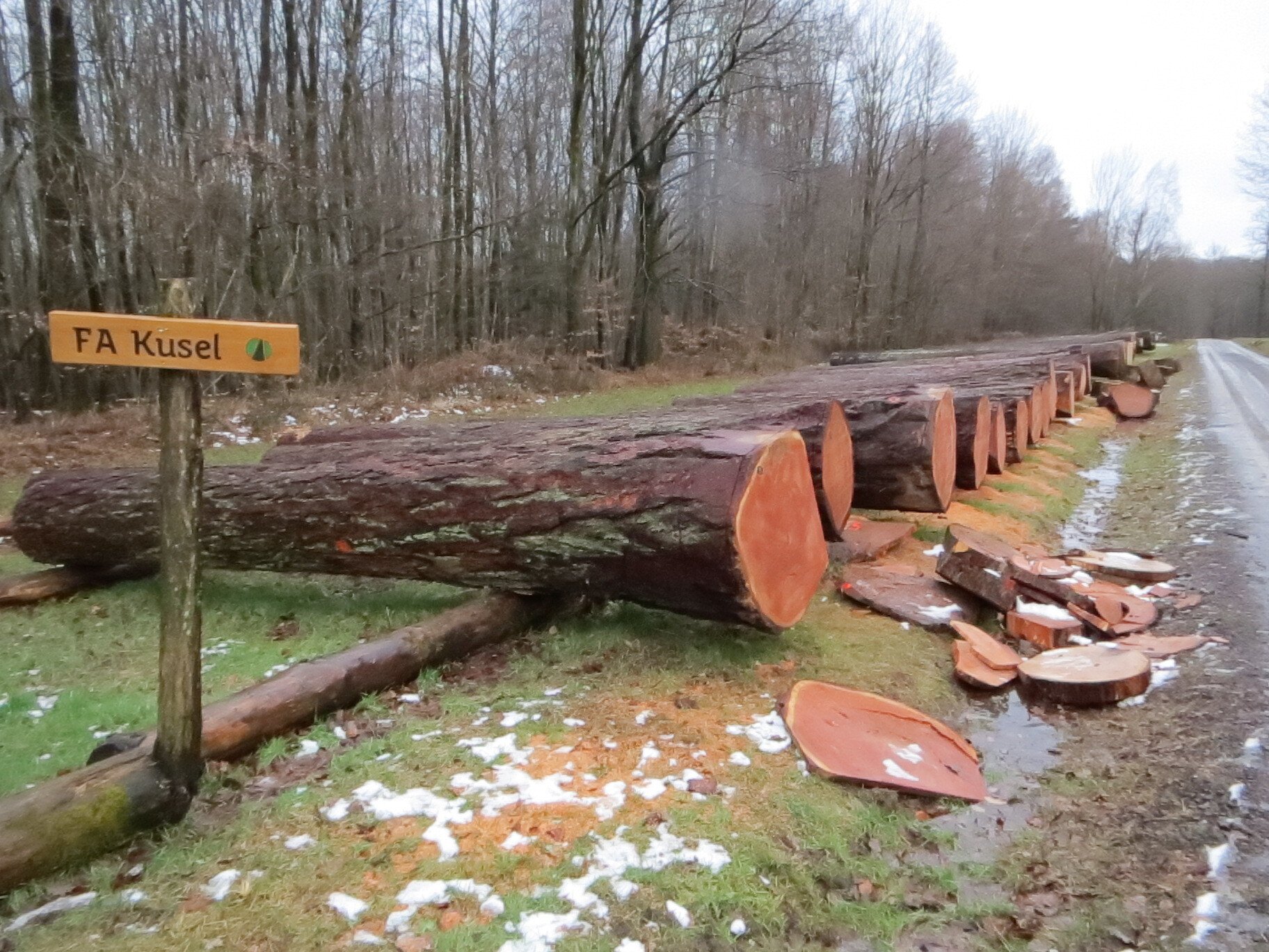 Lagerplatz_Kusel_IMG_3532