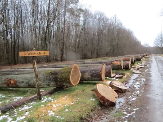 Lagerplatz_Westrich_IMG_3536