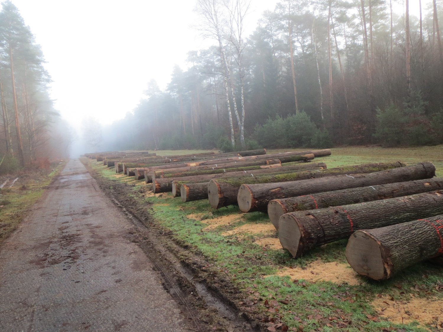 Reiterpfad__Panorama