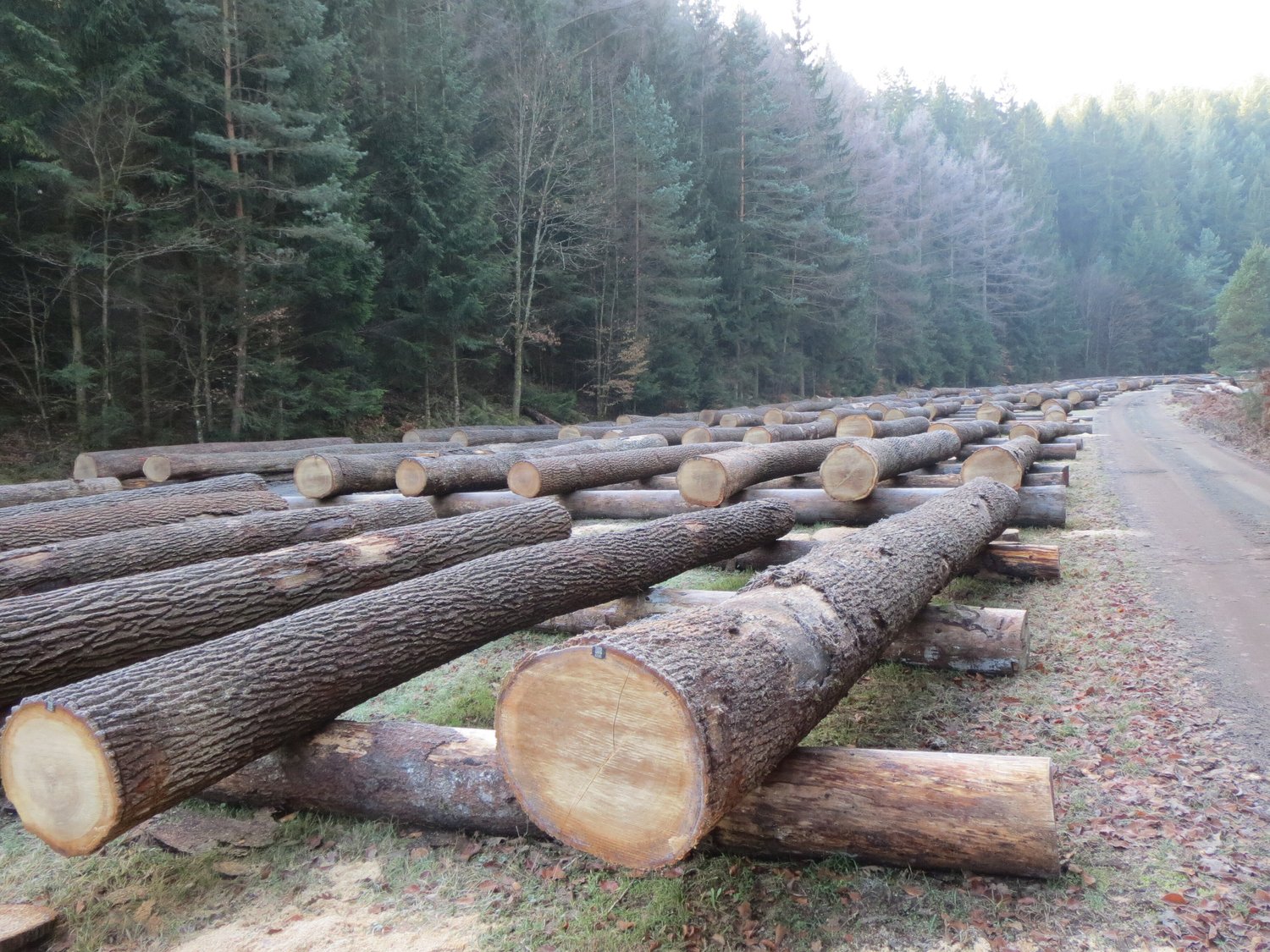 _Stangeneck__Panorama