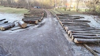 d4ae493e-b8a3-4ee0-a7e4-90fb2d4f4283