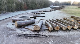 dji_fly_20260120_143216_0625_1768978661113_photo